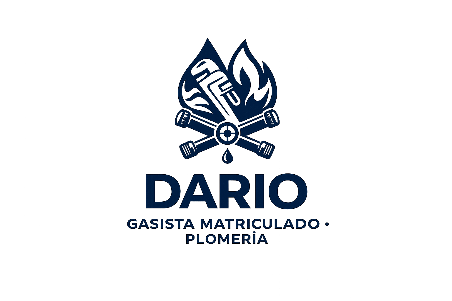 gasistamatriculadoyplomero